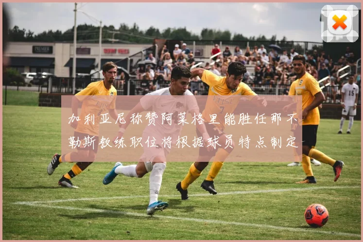 加利亚尼称赞阿莱格里能胜任那不勒斯教练职位将根据球员特点制定战术